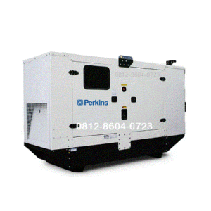 Perkins Genset